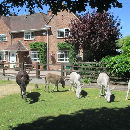 Hops Annex Villa Brockenhurst Exterior foto