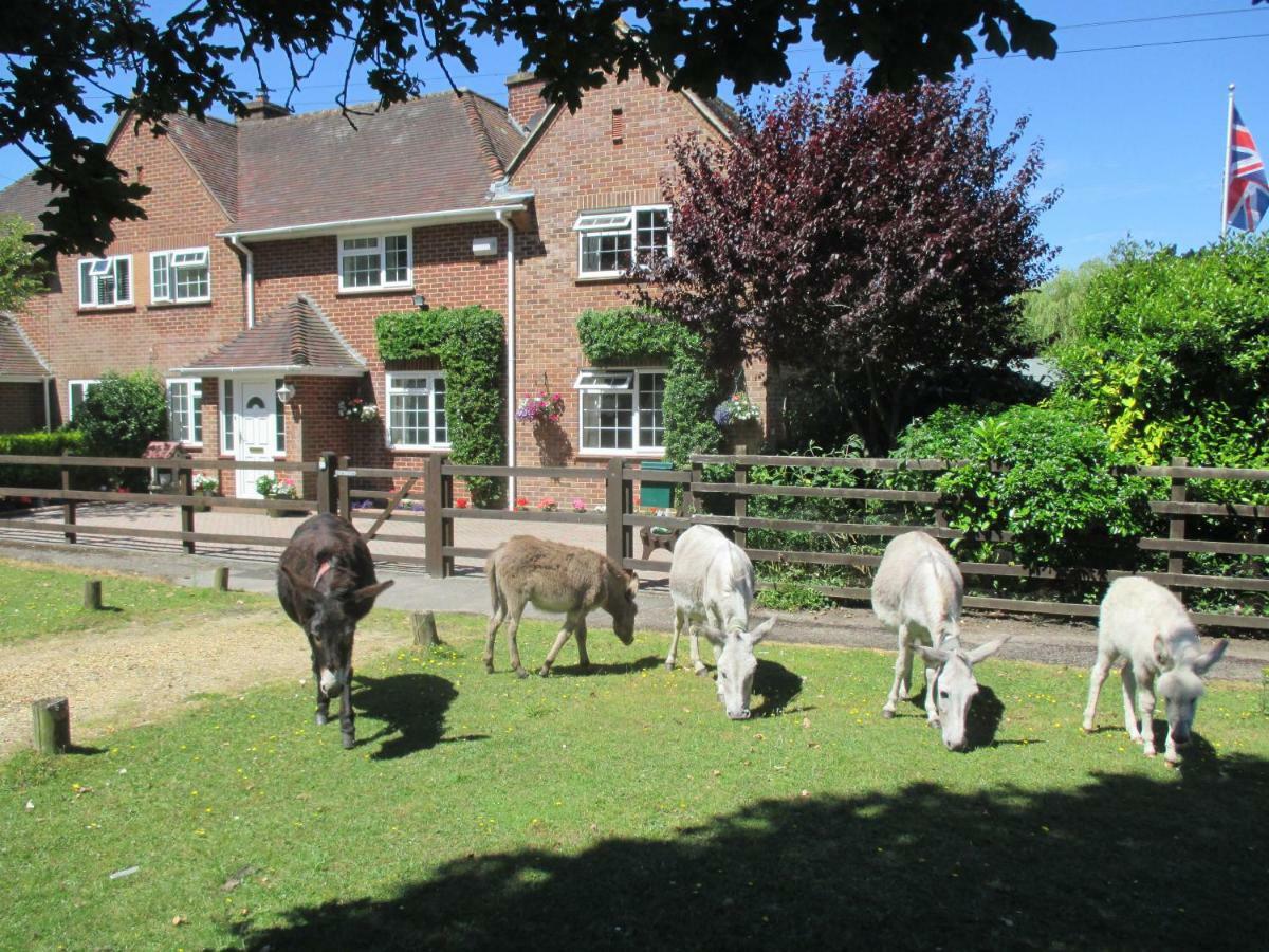 Hops Annex Villa Brockenhurst Exterior foto