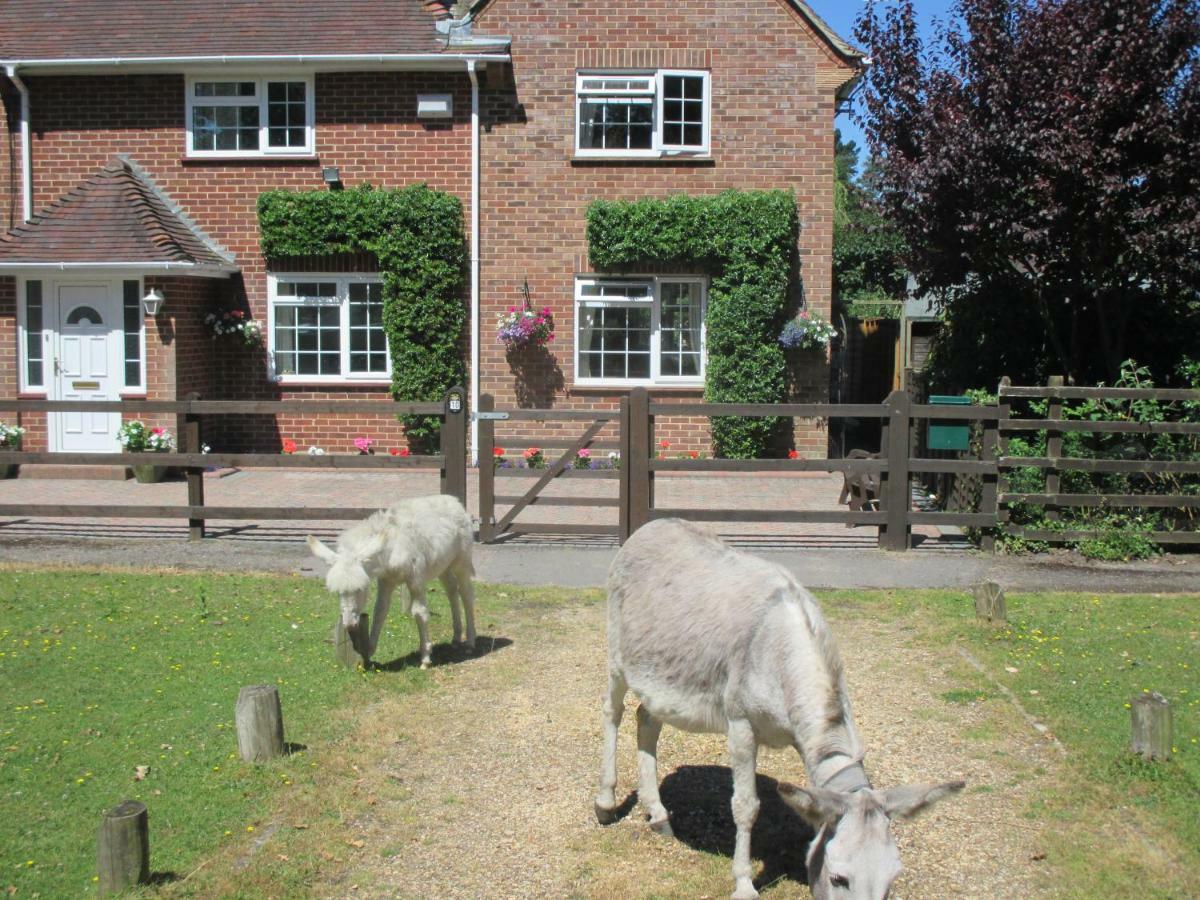 Hops Annex Villa Brockenhurst Exterior foto